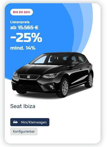 Mein Auto.jpg