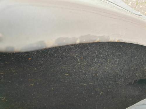 2019-04-08-10-45-43-rost