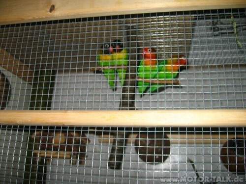 Img-0754
