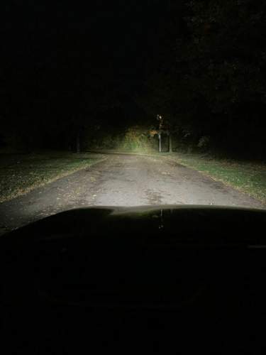 Img-0435