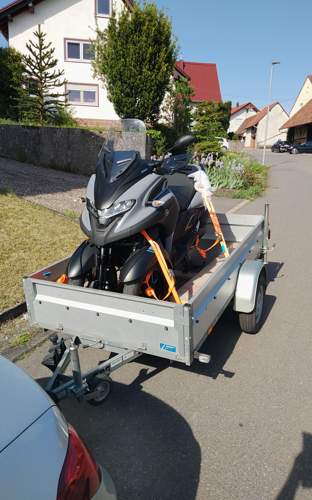Gute Reise