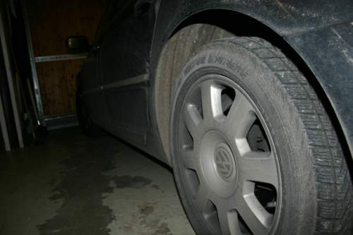 Img-6270