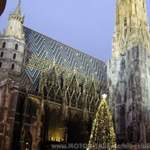 2600 - Stephansdom