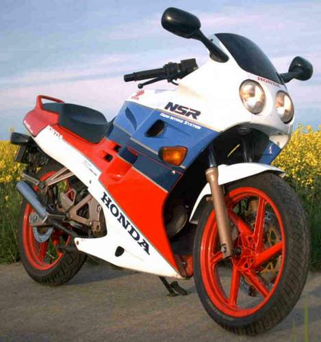 Nsr1