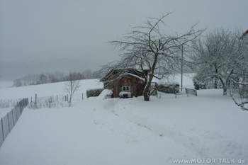 Im Garten 55cm Schnee