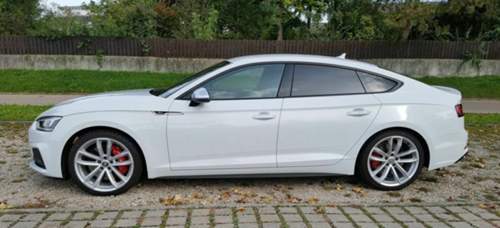 Bild-2