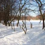 Oder doch lieber Schnee...?