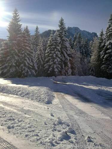 Bild0043