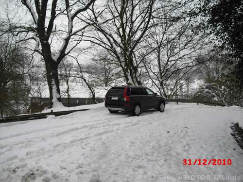 Mt-elch-im-schnee