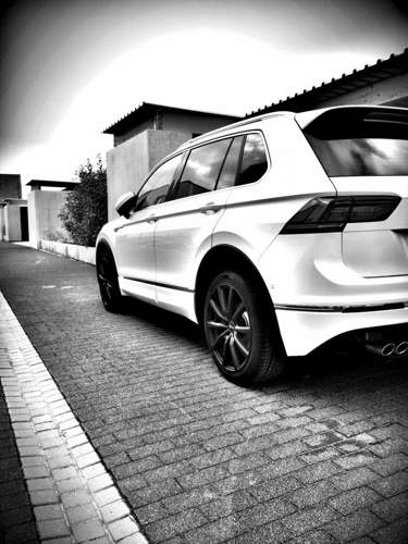 Bild-2