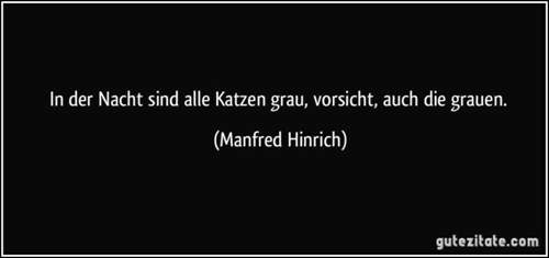 Zitat-in-der-nacht-sind-alle-katzen-grau-vorsicht-auch-die-grauen-manfred-hinrich-186089