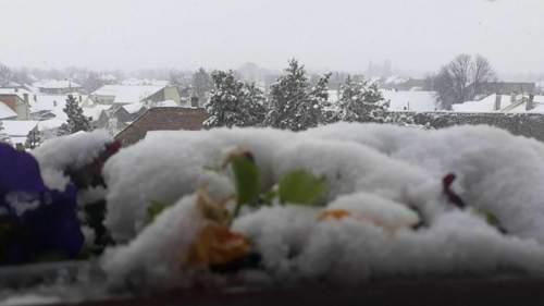 Schneefall im Fruehling.jpg