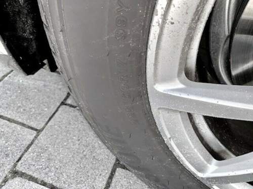 Img-2725