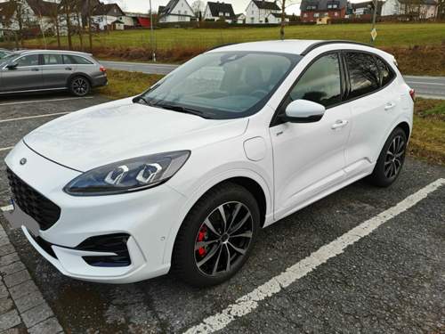 Mak Wolf 19 Zoll