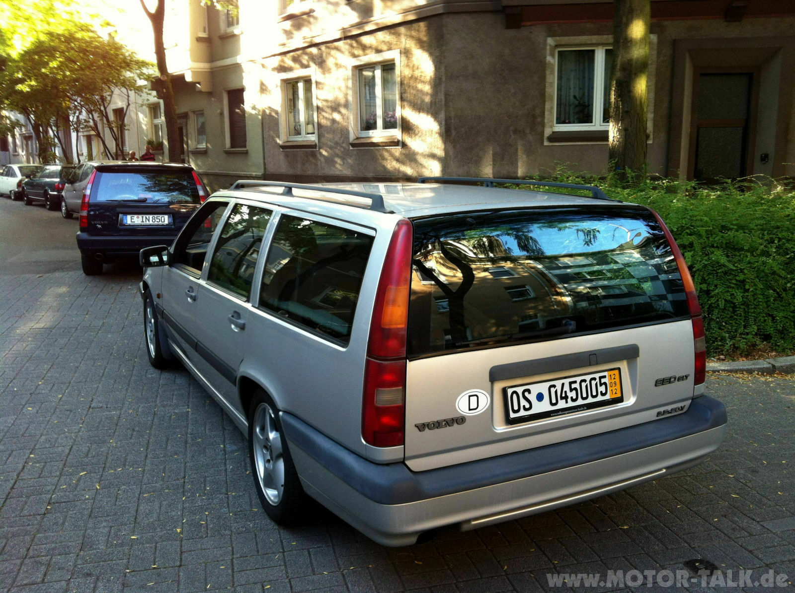 Wir begrüssen einen neuen Elch in der Runde!