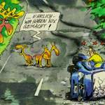 Elchtest