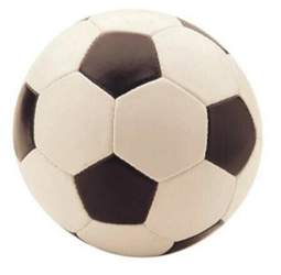 der Fussball ist das Spielgerät