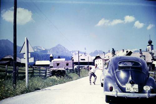 Käfer in Alpen