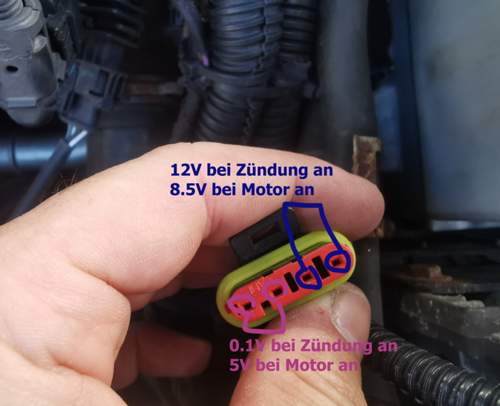 Stecker am ECU gemessen
