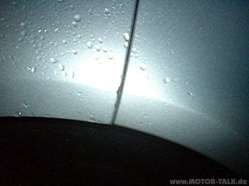 Rost_2
