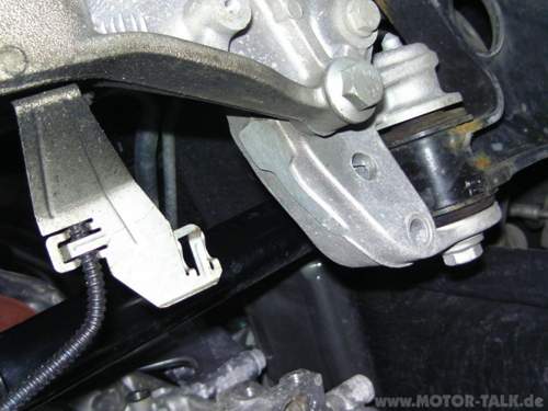 Rost-bild0624