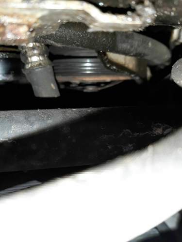 20200803_185853.jpg