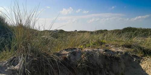2021-05 Urlaub St. Peter Ording 068.jpg