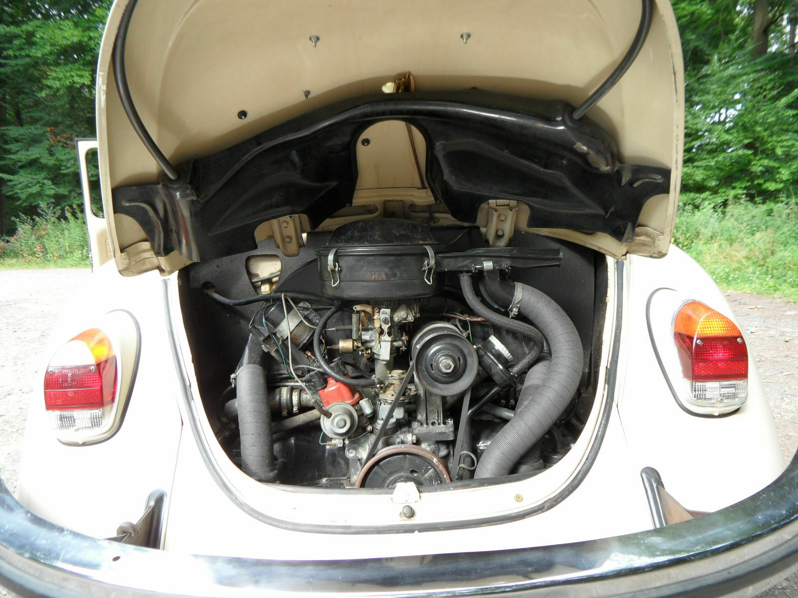 Wundermittel gesucht. Motorhaube entfetten