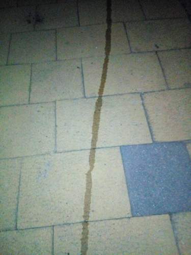 Img-20190922