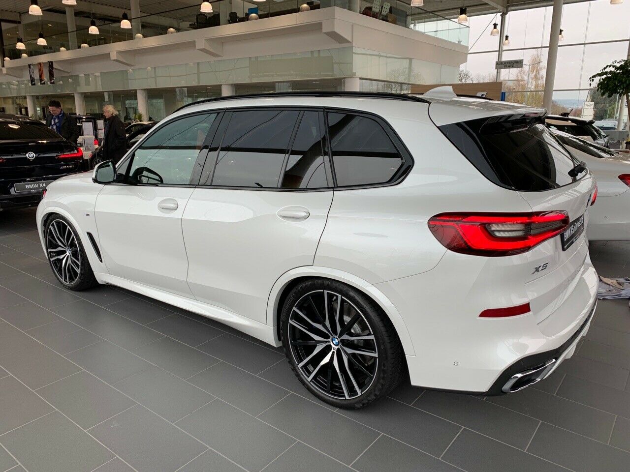 X5 Bilder aus der freien Wildbahn