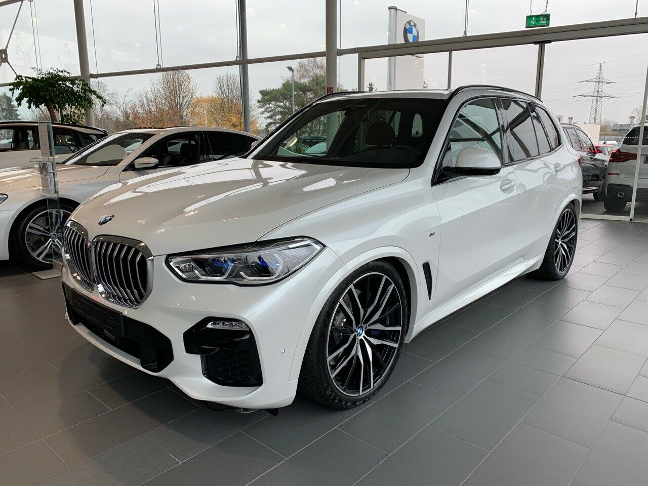 X5 Bilder aus der freien Wildbahn