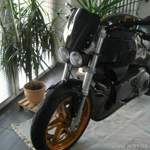 Img-3759