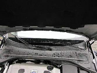 Img-9282