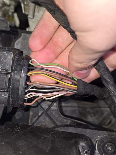 Stecker linker Scheinwerfer