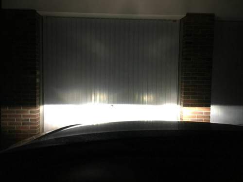 Img-3646