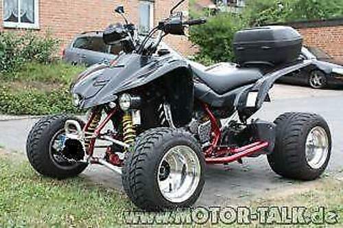 Img-2549