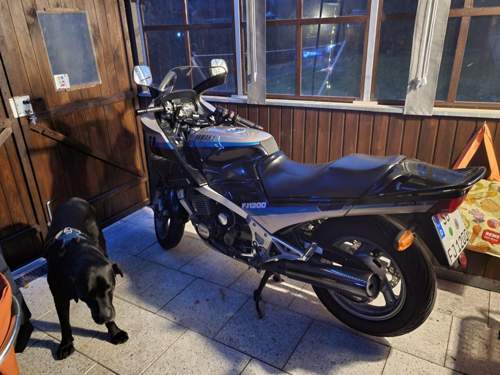 Bulle haute protection YAMAHA 1300 FJR 2001/2002