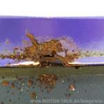 Rost