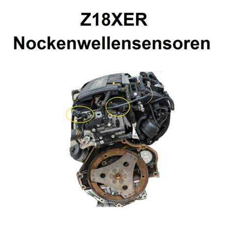 Nws-z18xer