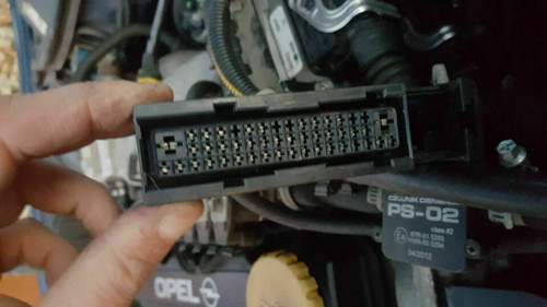 X 120 weibliche PINs