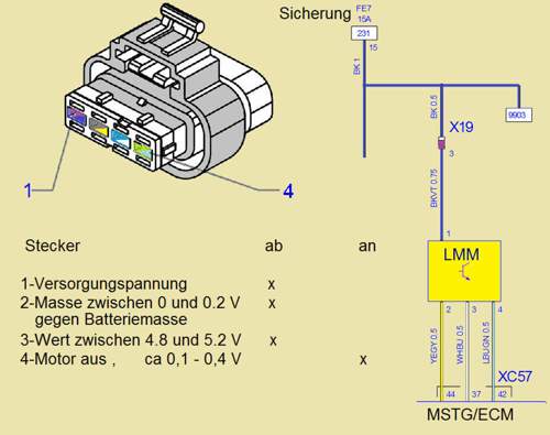 Z19dth-lmm