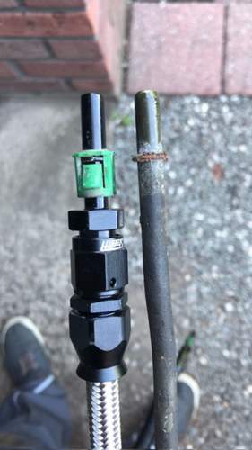 AN6 8mm