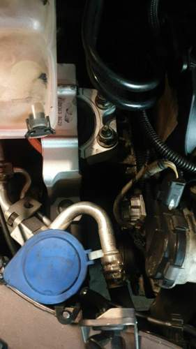 IMG-20211217-WA0034.jpeg