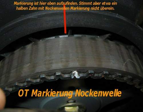 Img-1374
