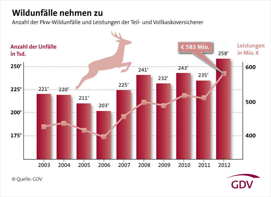 Die Zahl der Wildunfälle ist in diesem Jahr um 10 Prozent gestiegen