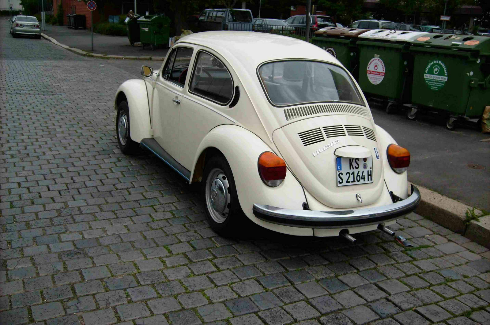 Zeigt eure Käfer!