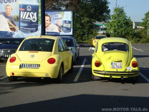Beetles