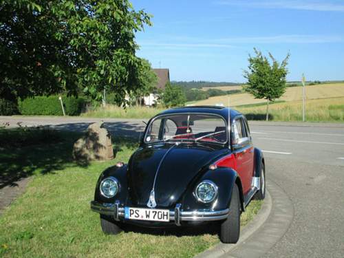 Img-3286