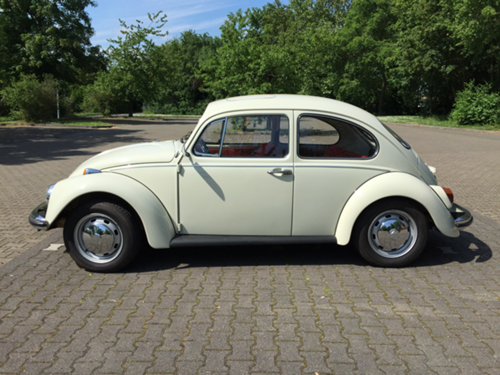 Mein-kaefer-3