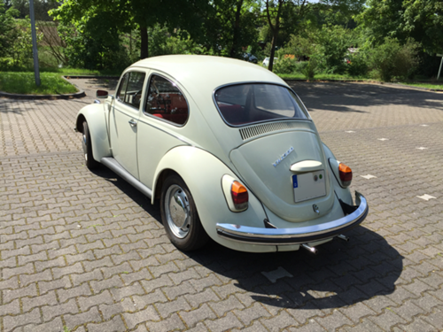 Mein-kaefer-1
